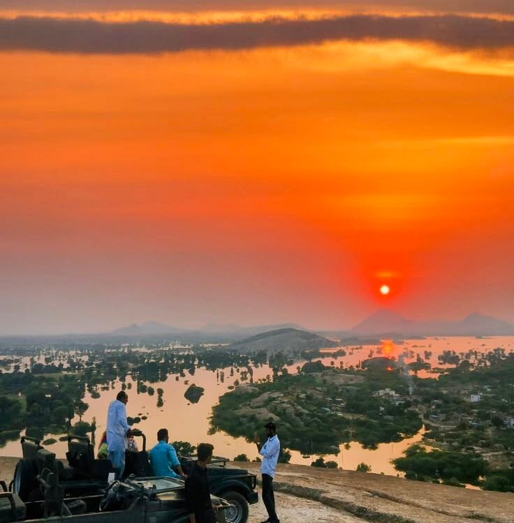 jawai leopard safari