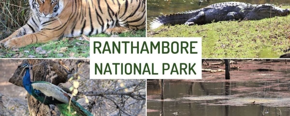 Ranthambore National Park