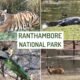 Ranthambore National Park